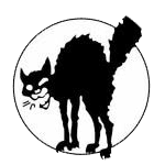 Chat Noir